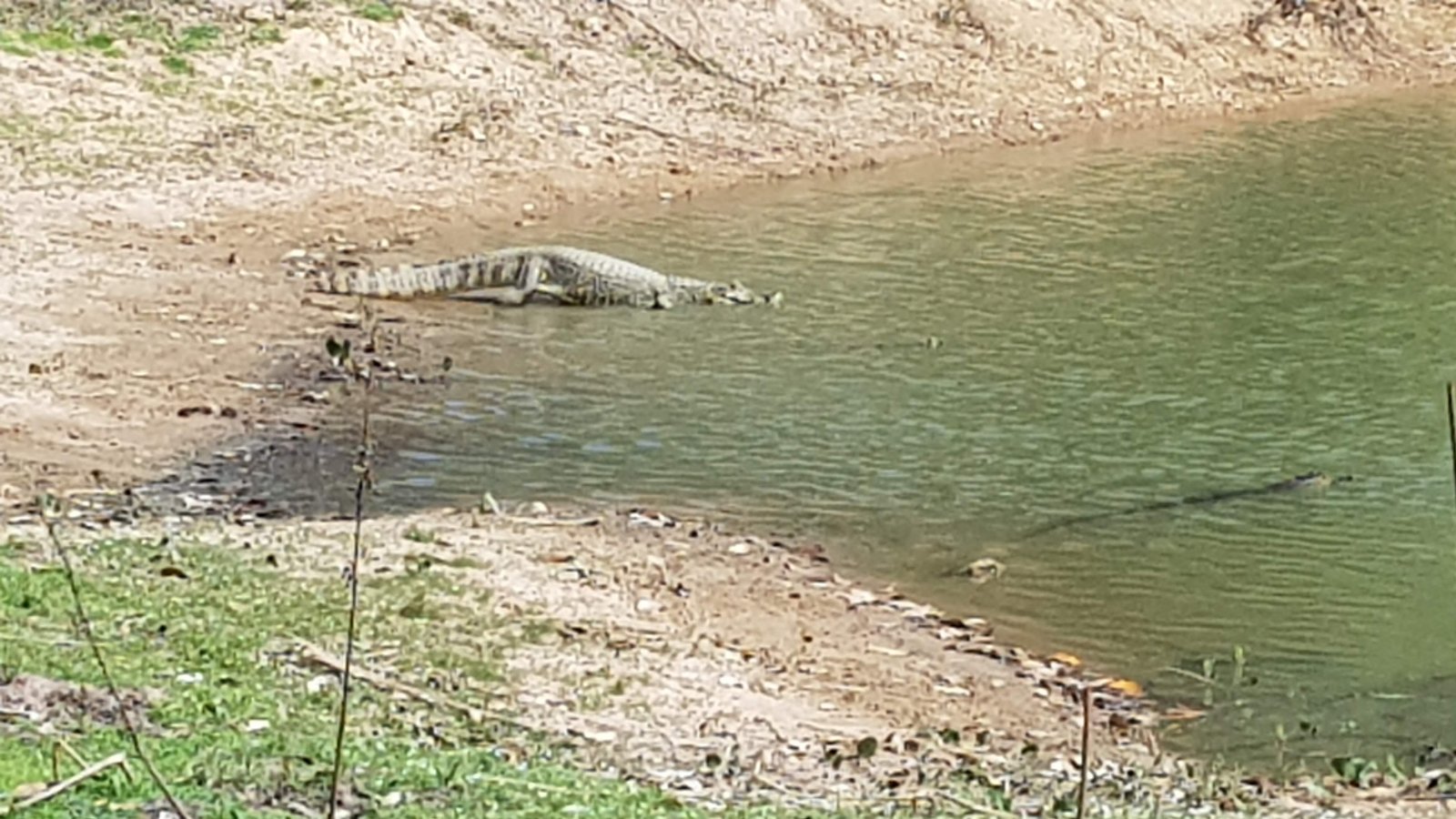 Monitoramento ambiental
